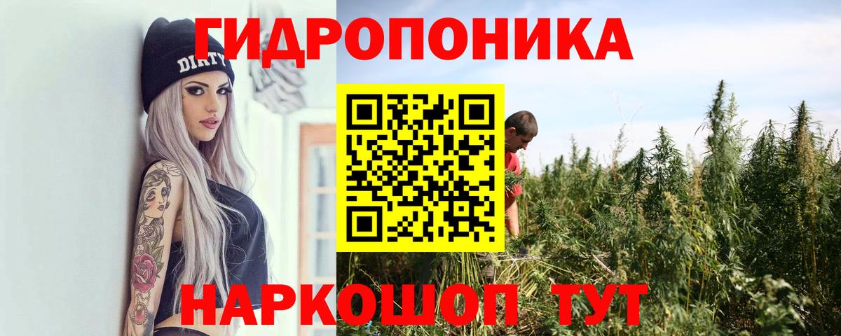 Асино  Конопля конопля  Вход с VPN  Шишки марихуана VHQ  Марихуана индика 